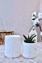 Terrazzo Triple Office Set| Round Pen Holder Flower Pot Plant| Desktop Organizer - 2