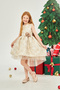 FRONT SHORT BACK LONG JACQUARD GIRL'S PARTY DRESS - 2