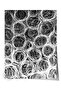 Black and White Abstract Themed Wall Poster, Modern Frameless Poster - Bedroom, Living Room Wall Decor