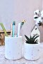 Terrazzo Triple Office Set| Round Pen Holder Flower Pot Plant| Desktop Organizer