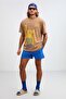 Idaho Regular Relaxed Shorts