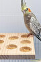 Natural Eye Feeder Wooden Bird Cage Stand: Perch, Toys and Accessories - 2