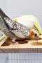 Natural Eye Feeder Wooden Bird Cage Stand: Perch, Toys and Accessories - 4