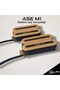 ASE M1 ELEKTRO MANYETİK