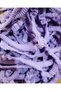 500 Pieces New Generation Elastic Stretcher Cover Color: Lilac/Purple - 3