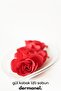 Rose Scented Pumpkin Fiber Soap
