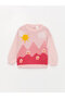 Crew Neck Long Sleeve Patterned Baby Girl Knitwear Sweater