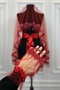 Red Bridal Veil Set, Crystal Bead Embroidered Henna Veil Set 6 Pieces - 4