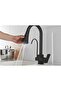 Kitchen Sink Faucet Dual Flow Water Purification Outlet Bass Check New Matte Black Imported - 3
