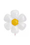 2 Year Old Bee Foil Balloon Daisy Foil Balloon Birthday Set - 2