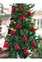 Set of 12 Red 3.5 cm Christmas Balls, Christmas Balls, Pine Tree Balls, Ornamental Balls - 3