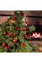Set of 12 Red 3.5 cm Christmas Balls, Christmas Balls, Pine Tree Balls, Ornamental Balls - 2