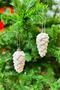 White 2 Pieces 10 cm Real Embossed Cone Christmas New Year Pine Tree Ornament Hangable Tree Ornament
