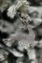 2 Pieces Running Deer Christmas Tree Ornament Silver Gray Colored Deer 11X13 cm New Year Pine Tree Decoration - 2