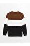 Crew Neck Long Sleeve Color Block Men's Sweatshirt - 5