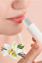 Intensive Care Cream for Dry and Chapped Lips, Protection and Repair, Moisturizing Natural Lip - 4