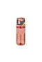 Tkk 550ml Lockable Lid Water Bottle with Straw Free Carrying Strap Strainer
