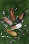 White Genuine Leather Ballerina Shoes - Model Name Taylor - 4