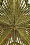 Christmas Pine Tree Crest Gold Color Star 24X20 cm Gold Yellow Bright New Year Silvery Crest - 4