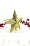 Shiny Gold Yellow Sequin - 20X19 cm Gold Color Silvery Christmas Pine Tree Crest - 2