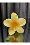 Lotus Flower New Trend Women's Latch Buckle Large Size 8 cm