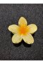 Lotus Flower New Trend Women's Latch Buckle Large Size 8 cm - 2