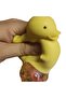 Duck Stress Ball, Brain Slime - 2