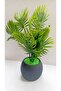 Mini Potted Green Filler Artificial Plant Fluorescent Green Stone 17 cm Decorative Bathroom Kitchen Table Flower - 4