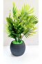 Mini Potted Green Filler Artificial Plant Fluorescent Green Stone 17 cm Decorative Bathroom Kitchen Table Flower