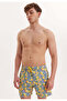 Yellow Lemon Printed Regular Fit Men's Swim Shorts Wmstrıpe