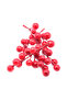 9cm Artificial Coquina (5PCS) - 2