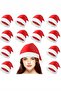 Christmas Hat Plush Santa Hat Party Set of 12