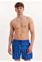 Blue Seahorse Printed Regular Fit Men's Swim Shorts Wmpattern