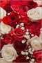 Red Themed Rose Flower Patterned Creative Modern Decorative Carpet 2344