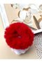 New Year's Themed Plush Bagel Elastic Buckle - 3