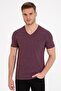 Claret Red Slim Fit V-Neck T-Shirt