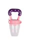 Fruit Pacifier...with Teether