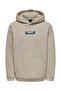 SWEATSHİRT TEDDY HOODIE