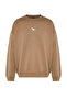 Brown Crew Neck Oversize/Wide Cut Dinosaur Embroidery Sweatshirt with Fleece Inside Tmnaw24Sw00064 - 3