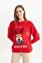 Christmas Themed Crew Neck Sweater Y3402Az23Cw - 4