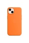 iPhone 13 Silicone Launch Velvet Inside Case