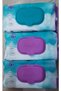 Wet Towel Wipes 8 Pieces of 100 - 2