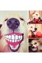 Dog Play Ball with Smiling Face Sound 7.5 cm - 6