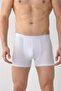 Smartman Men's White Lycra (10 Pcs) Pack Boxer