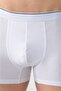 Smartman Men's White Lycra (10 Pcs) Pack Boxer - 4