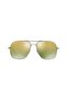 3587-ch 029/6q Sunglasses