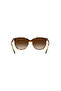 RB43787101354 نموذج النظارات الشمسية - 4