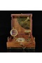 T.cooke & Sons London 1858 Brass Compass with Wooden Box - 4