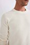 A8458Ax/Er100 Defacto Men's Sweater Ecru - 5