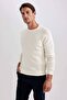 A8458Ax/Er100 Defacto Men's Sweater Ecru - 4